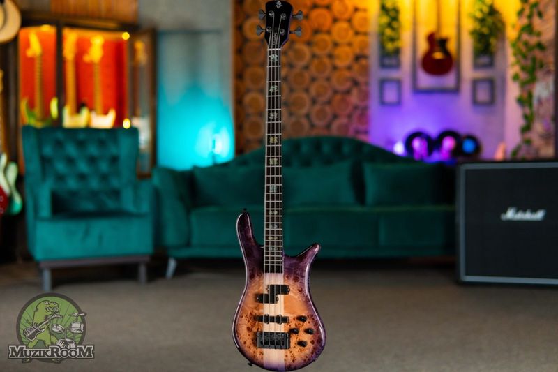 Spector Euro 4 CST Nat Violet Burst