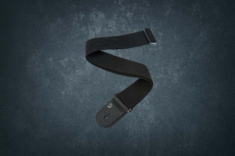 PLANET WAVES PWS100