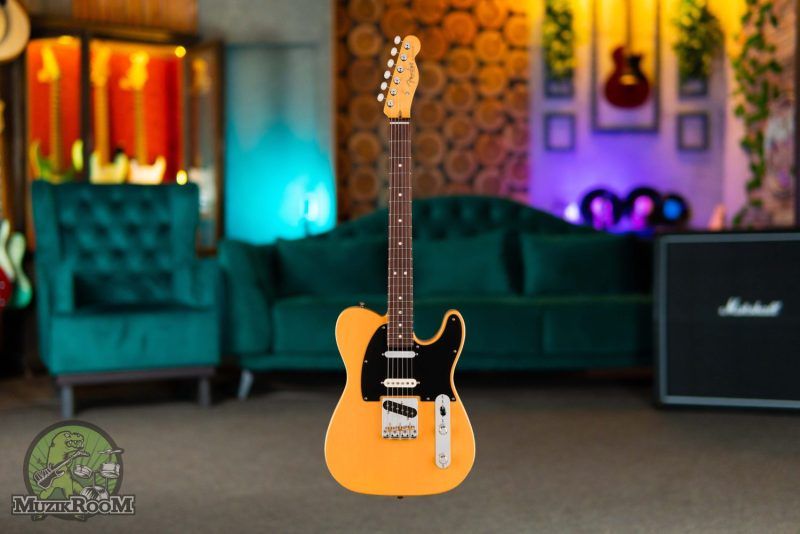 Fender American Professional Classic Telecaster SSS RW Butterscotch Blonde