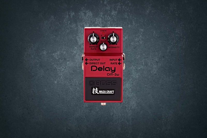 Boss DM-2W Delay
