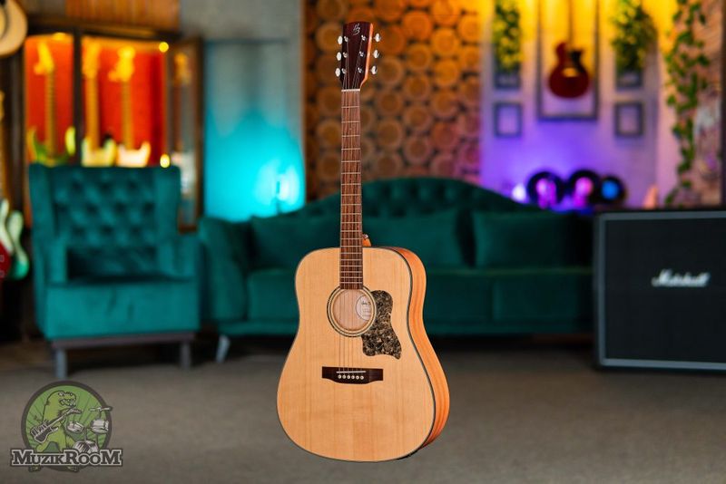 Harley Benton CLD-65SE NT