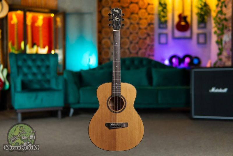 Gopherwood i210R