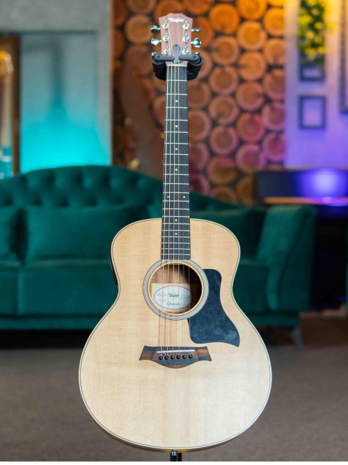 Taylor GS Mini-e Limited Ziricote