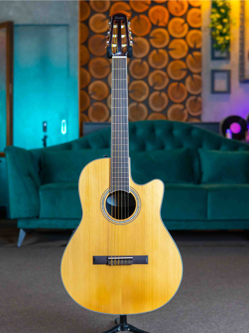 Ovation Celebrity Tradition CS-24C-4-G