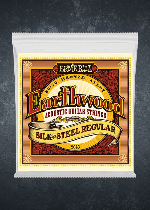 Ernie Ball 2043 Earthwood Silk & Steel Regular 13-56