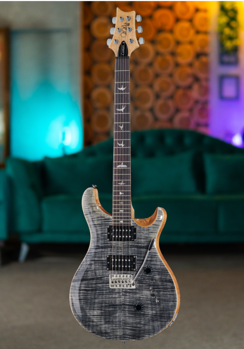 PRS SE Custom 24 Charcoal