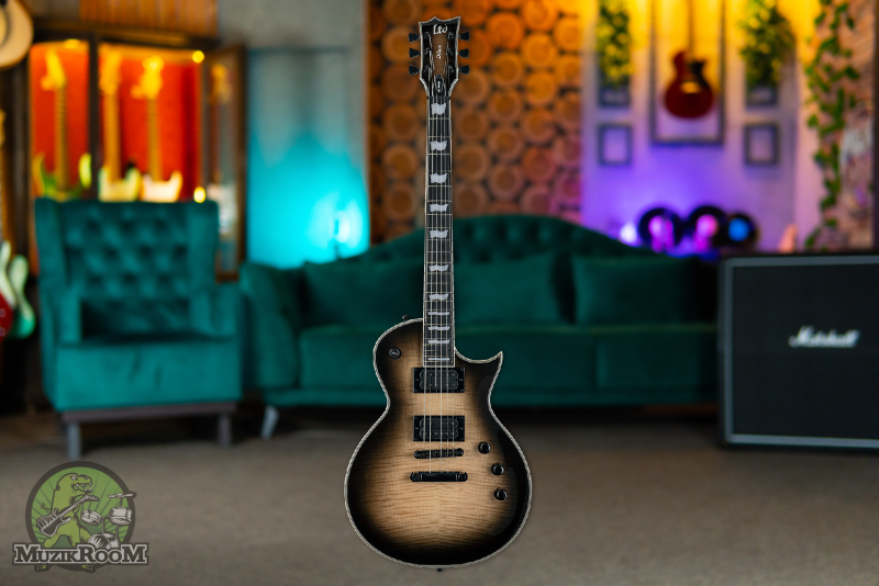 ESP LTD EC-1000T Flamed Maple Black Natural Burst