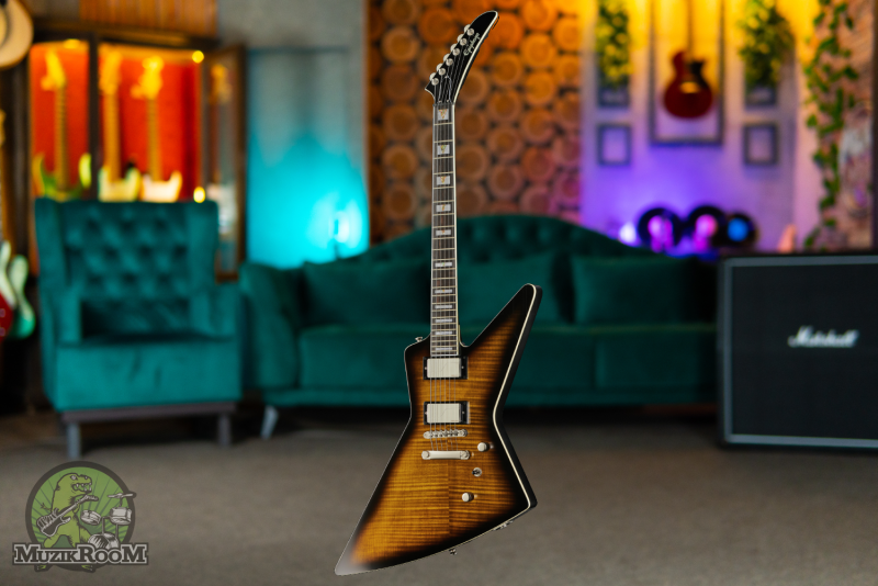 Epiphone Prophecy Extura Yellow Tiger