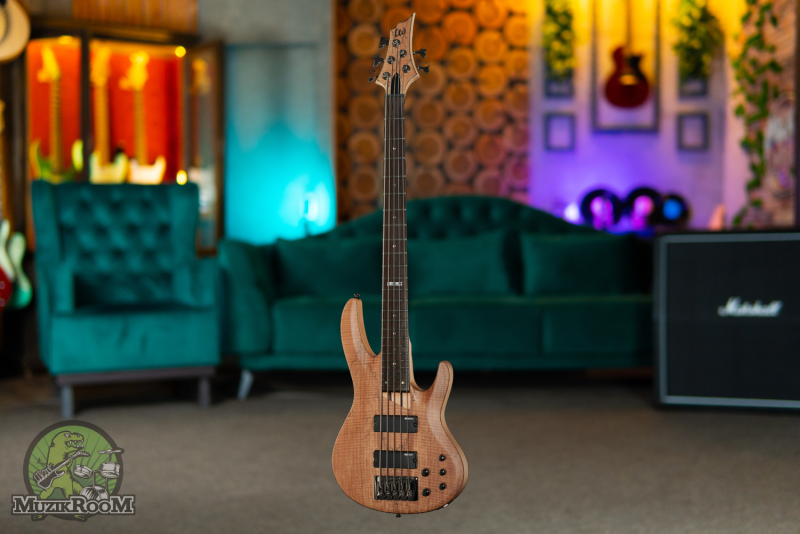 ESP LTD B-205SM Fretless Natural Satin