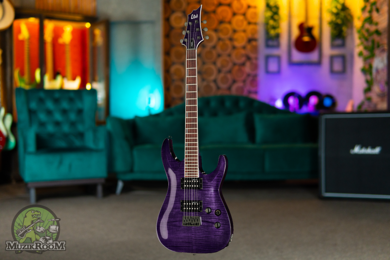 ESP LTD H-200FM See Thru Purple