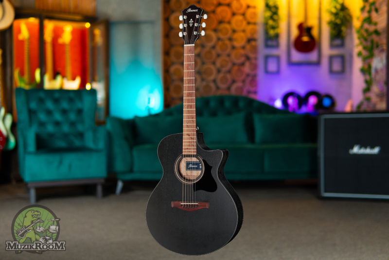 Ibanez AE295-WK