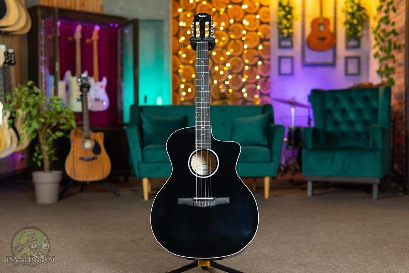 Taylor 214ce-N Black Deluxe Special Edition