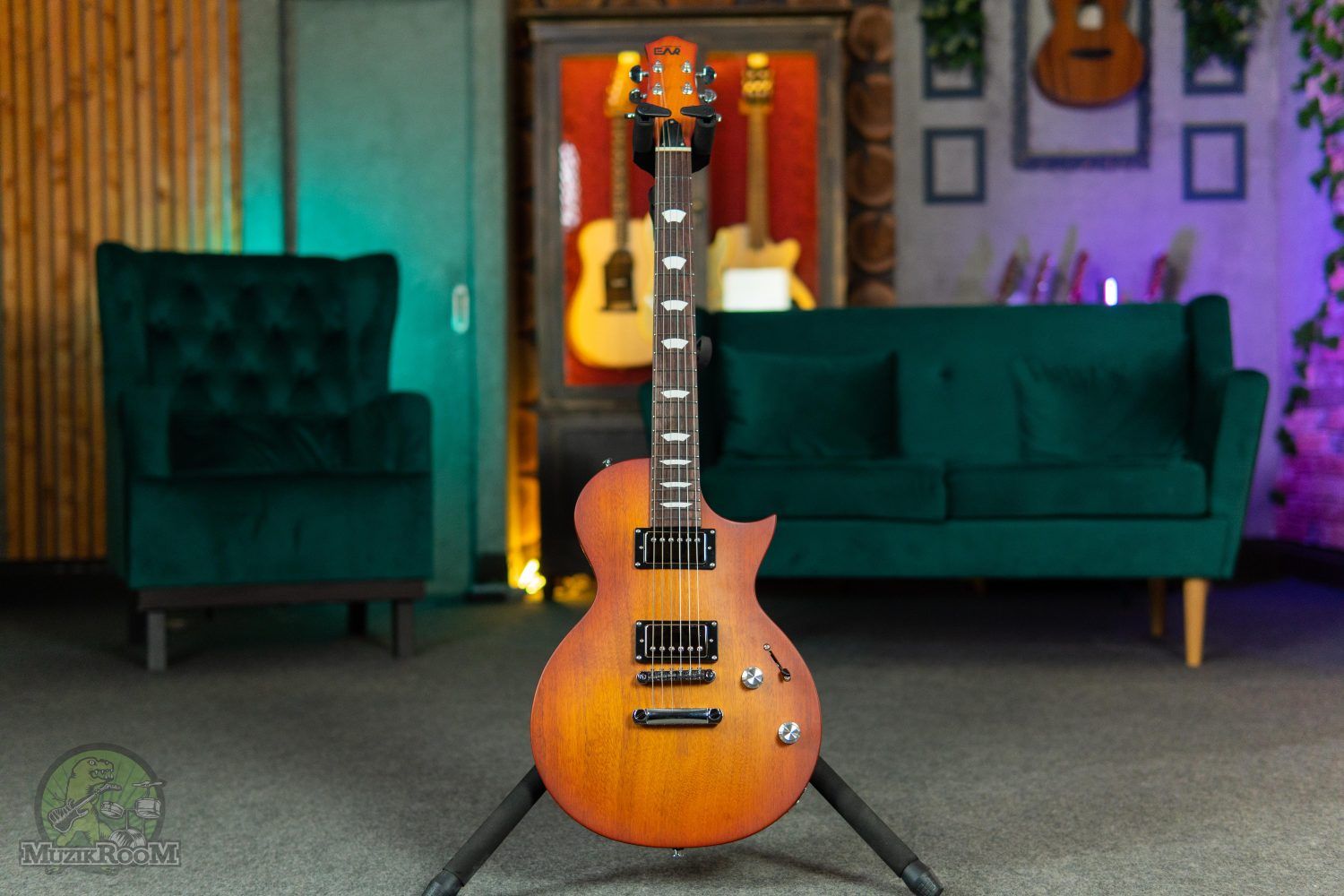 Eart Guitar EGLP-610 Honey Burst