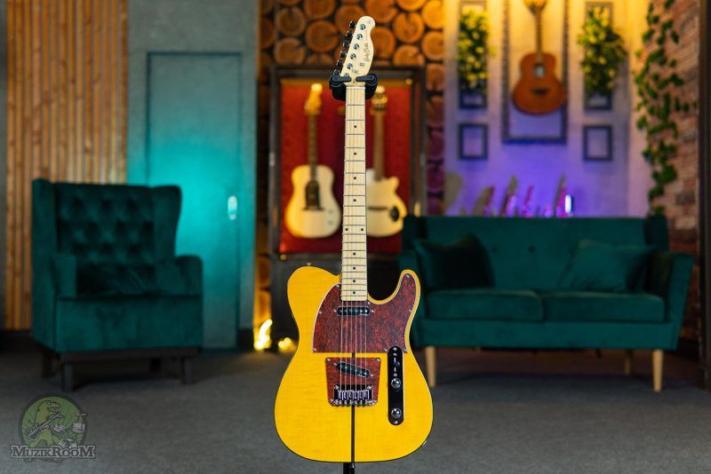 Harley Benton TE-80 NT Deluxe Series