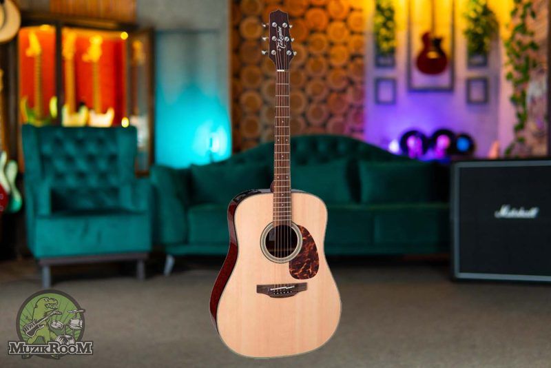 Takamine FT340BS