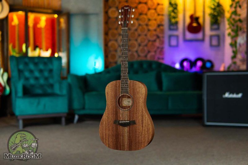 Taylor Big Baby Taylor BBT WN