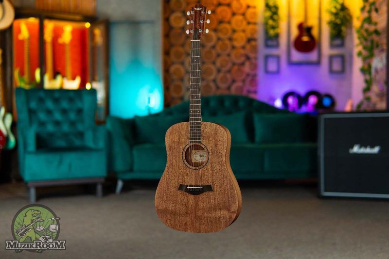 Taylor Big Baby Taylor BBTe WN