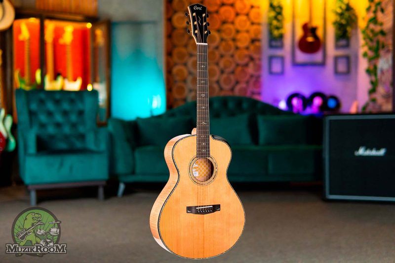 Cort Gold Passion