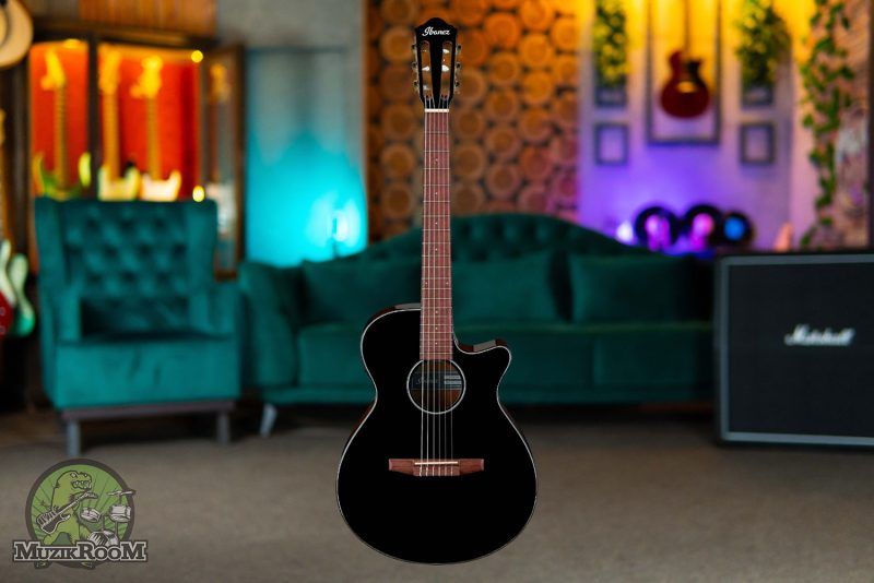 Ibanez AEG50N-BKH Nylon