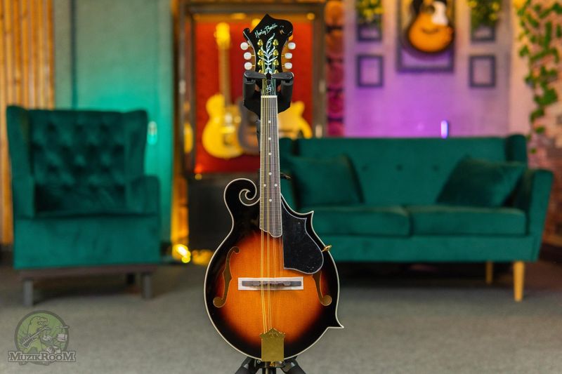 Harley Benton HBMA-100 VS