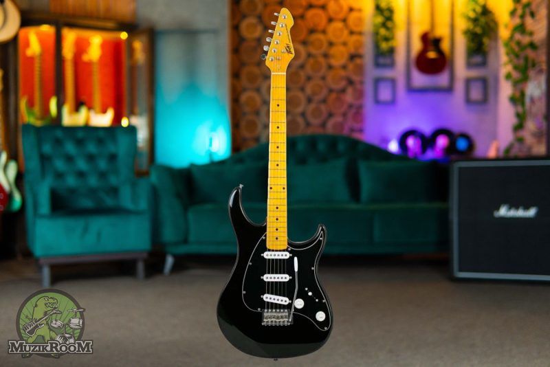 PEAVEY Raptor Custom BLK