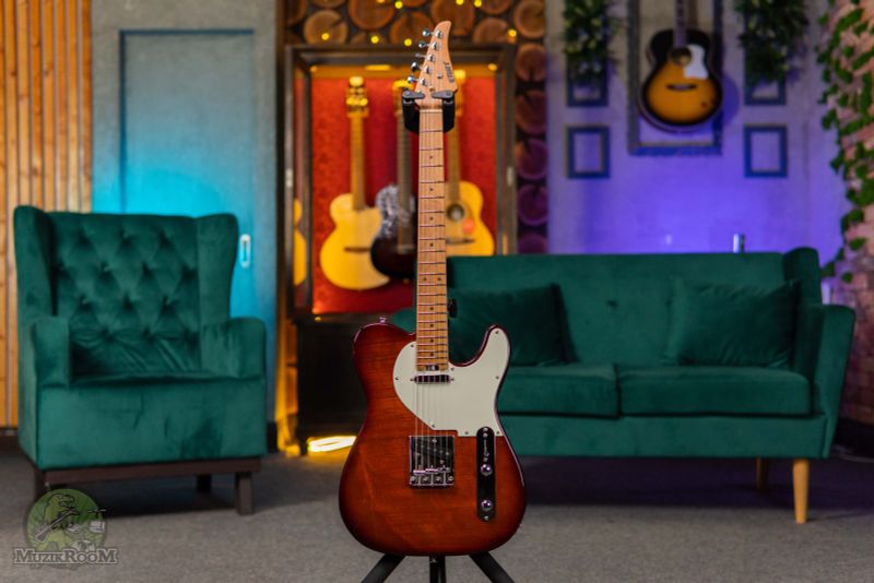 Eart Guitar NK-C1 Brown