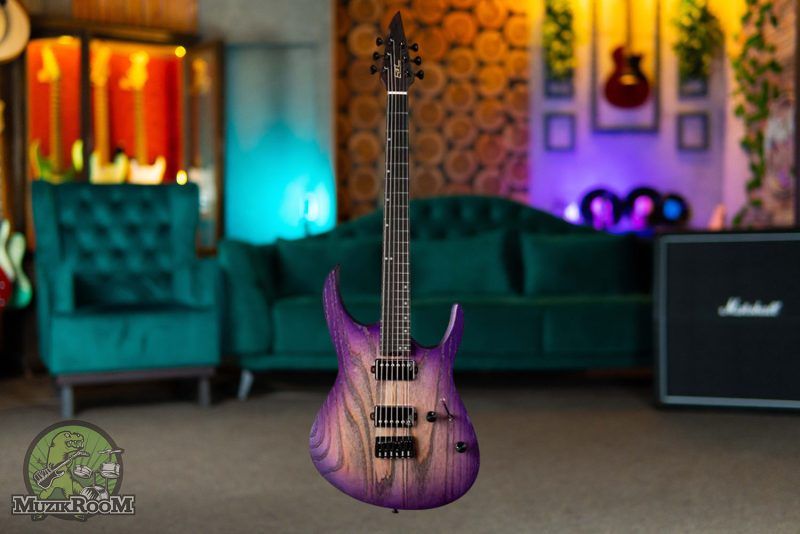 Eart Guitars H6-PRO Purple Burst