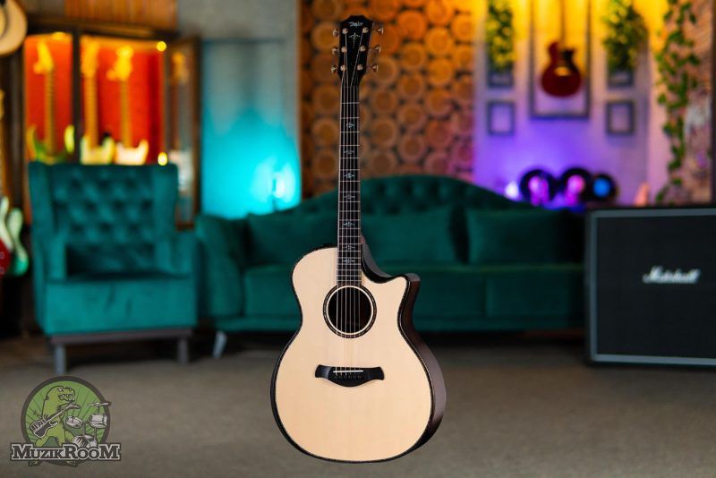 Taylor Builder's Edition 914ce Natural