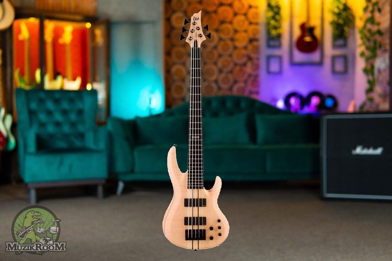 ESP LTD B-1005 NS