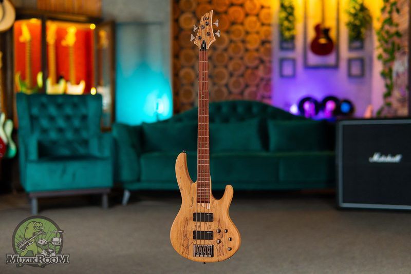 ESP LTD B-204SM NS