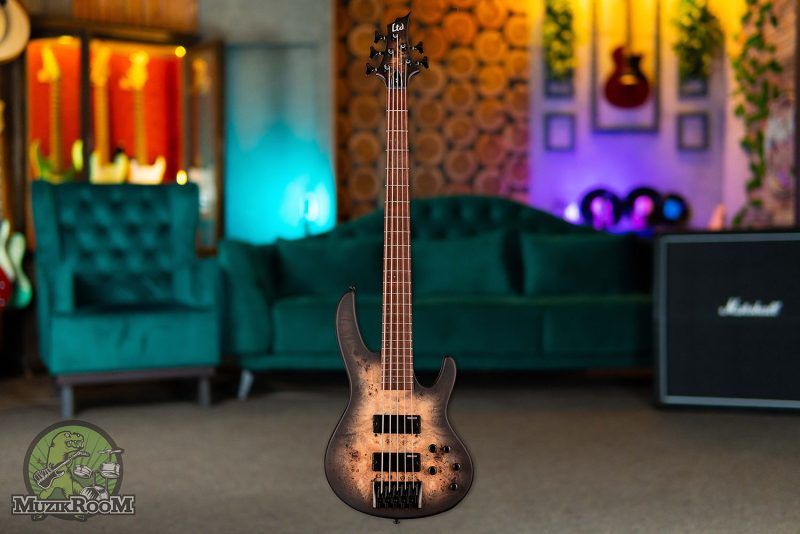 ESP LTD D-5 Black Natural Burst Satin