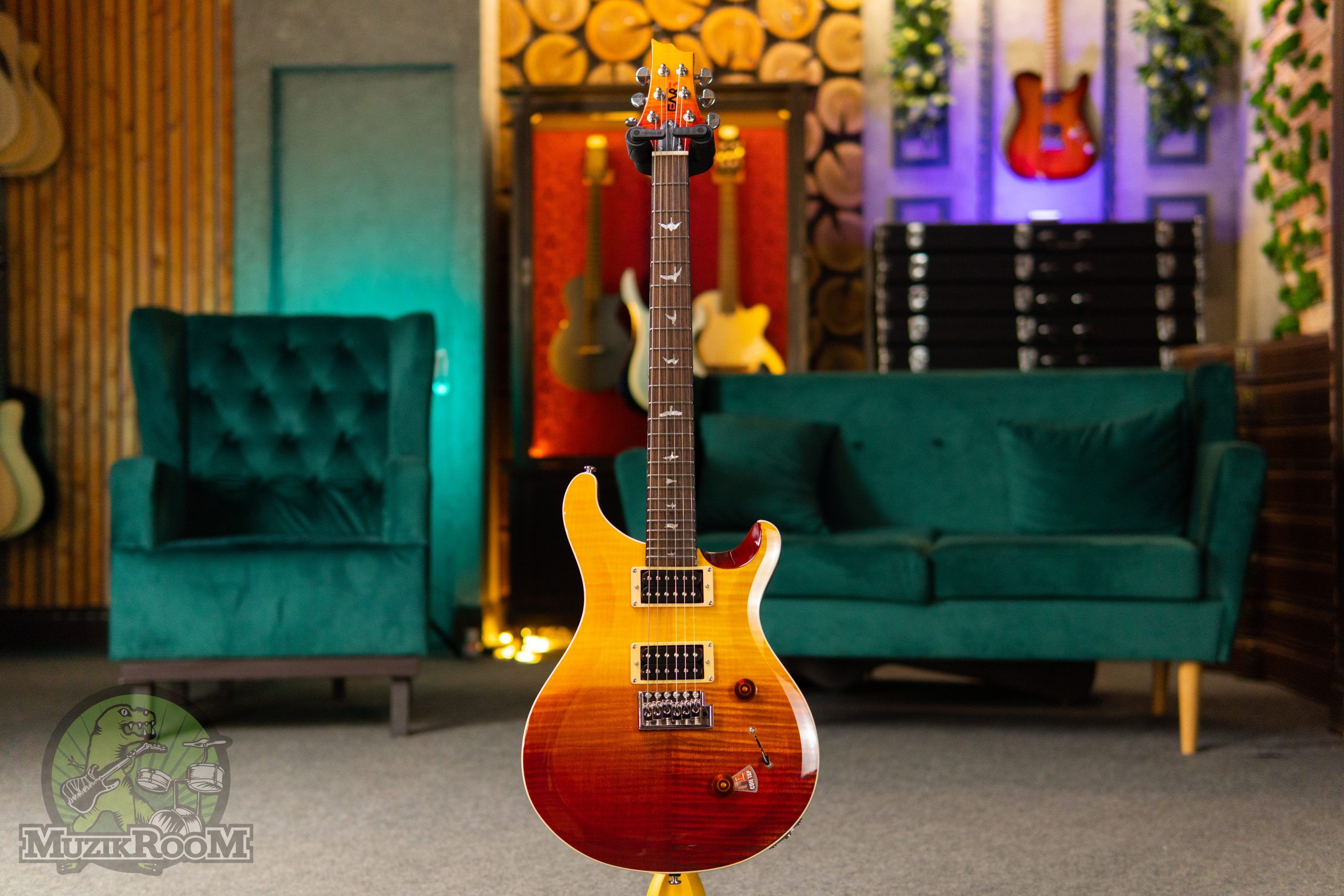 Eart Guitar EGPR-100E Red Burst