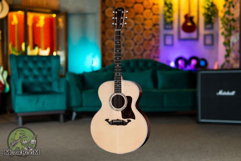 Taylor Legacy Edition 815e