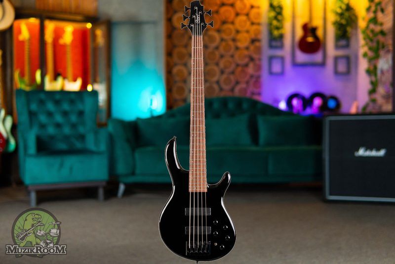 Cort G250 SE Black
