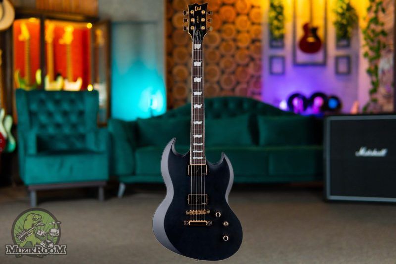 ESP LTD Viper-1000 Vintage Black