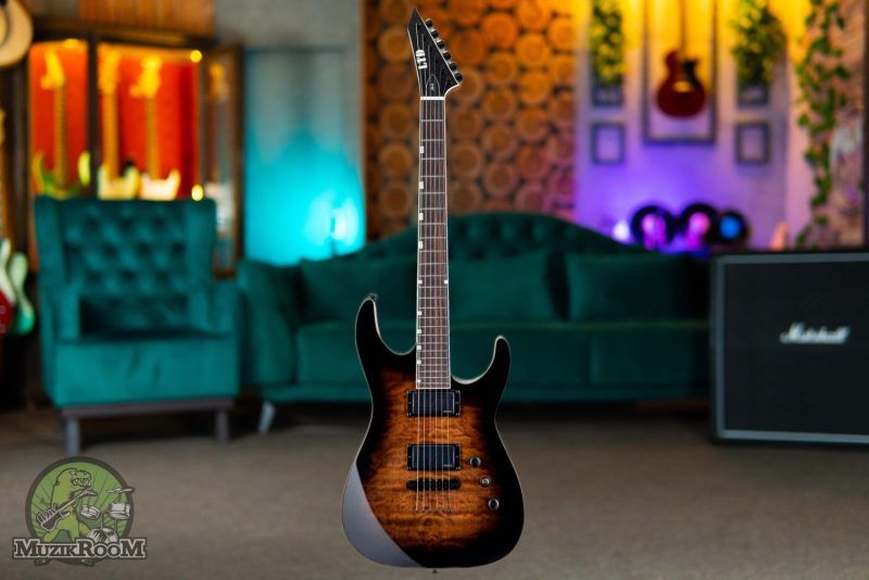 ESP LTD JM-II Black Shadow Burst