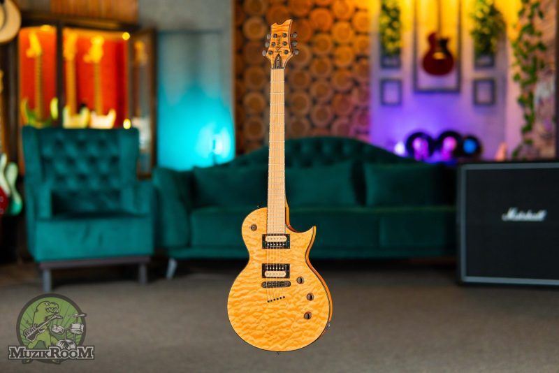 Kramer Guitars Assault 220 Plus Natural