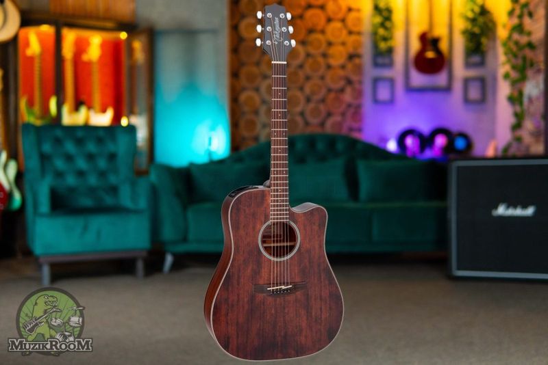 Takamine GD21CE SM