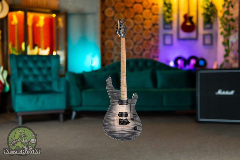 Mayones Regius V24 6 Graphite Burst