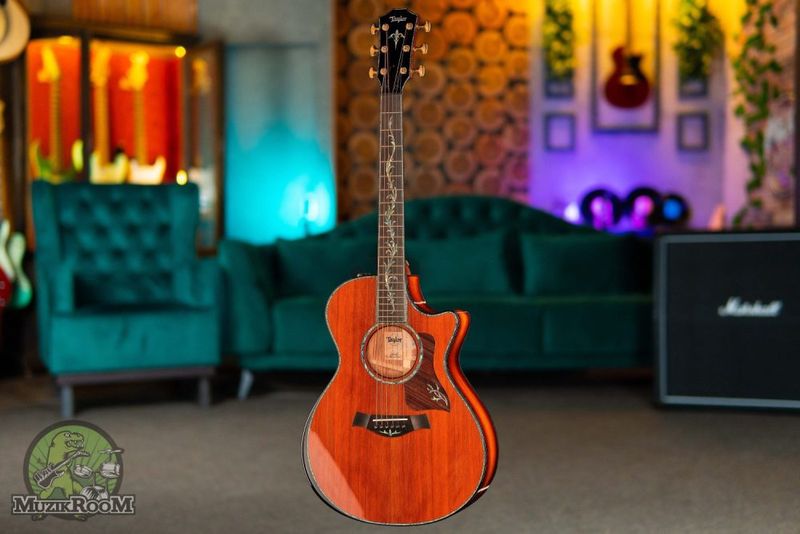 Taylor PS12ce Honduran Rosewood